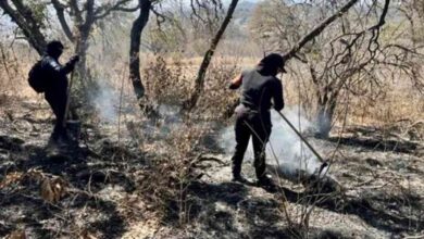 incendios forestales