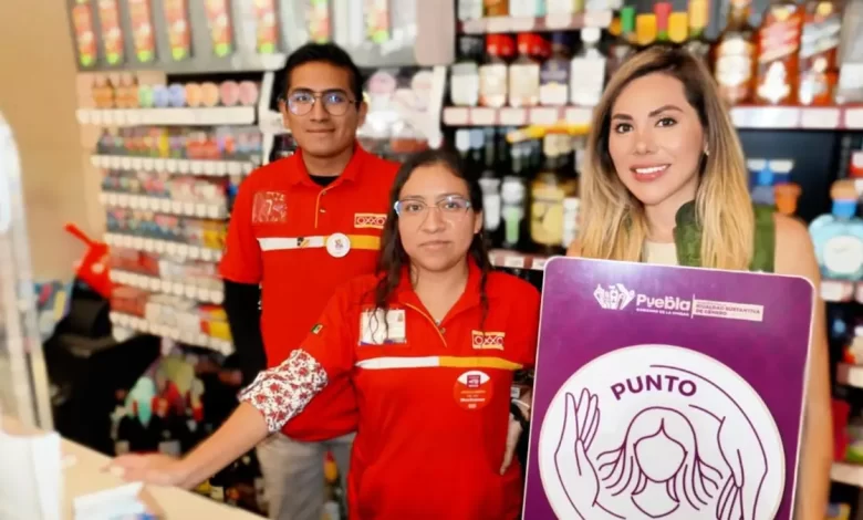 Puntos Seguros