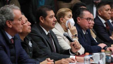 noticias falsas