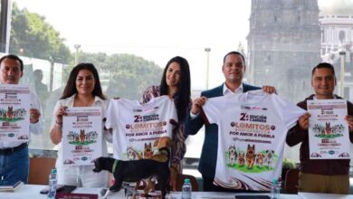 Lomitos Imparables