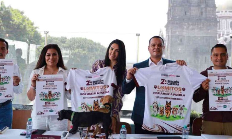 Lomitos Imparables