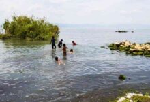 Poncitlán