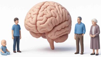 cerebro humano (1)