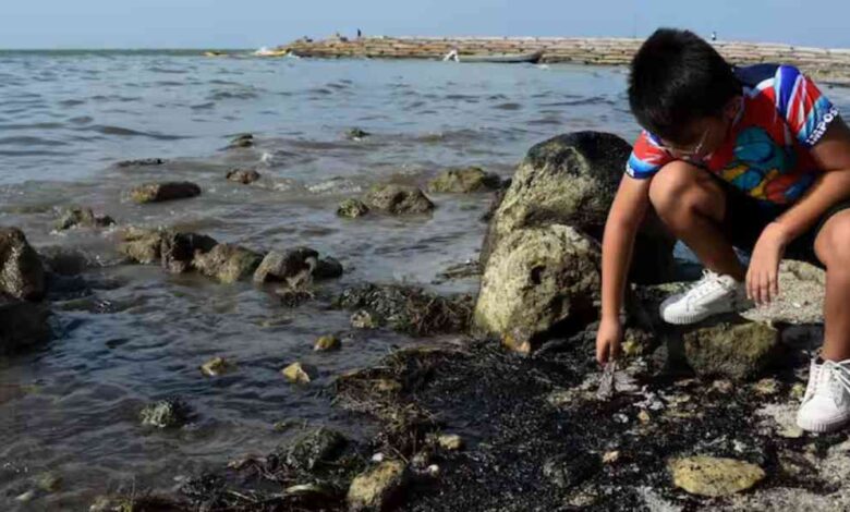 golfo de mexico petroleo pemex