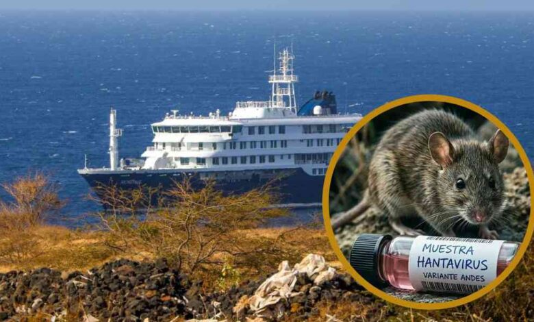 hantavirus