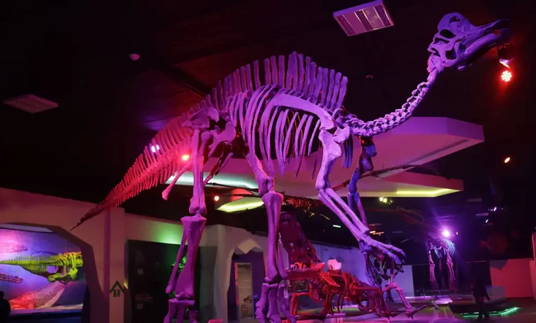 Noche de Museos