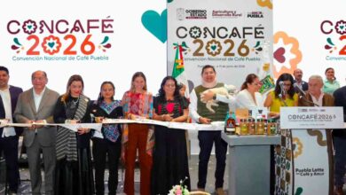 CONCAFÉ