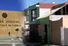 Cártel del Despojo