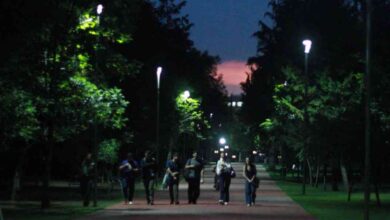 Convenciones y Parques