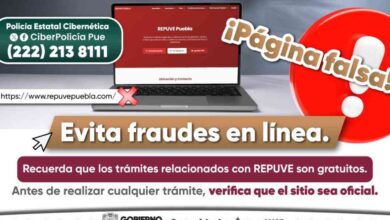 REPUVE