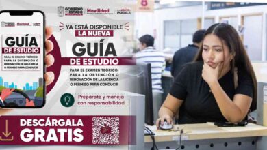 licencia de conducir