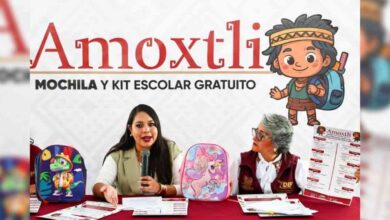 Amoxtli