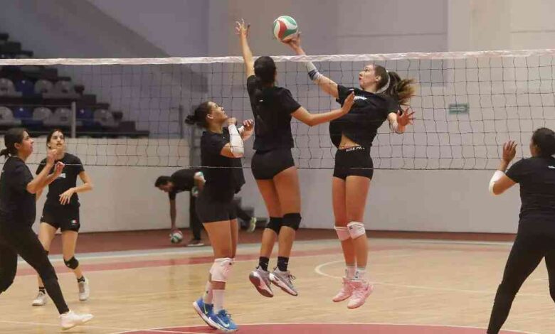 Máster de Voleibol