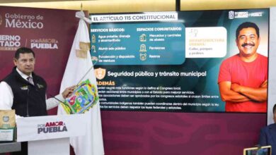 artículo 115