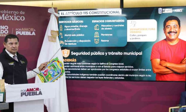 artículo 115