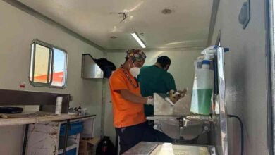 esterilizaciones gratuitas