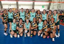 voleibol