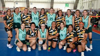 voleibol