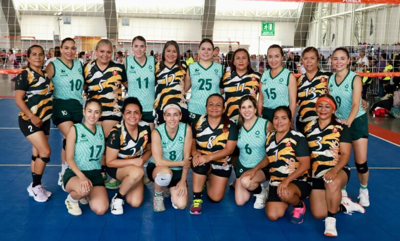 voleibol