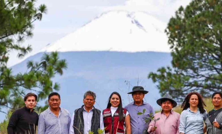 Cerro Zapotecas