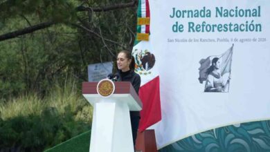 Jornada Nacional de Reforestación