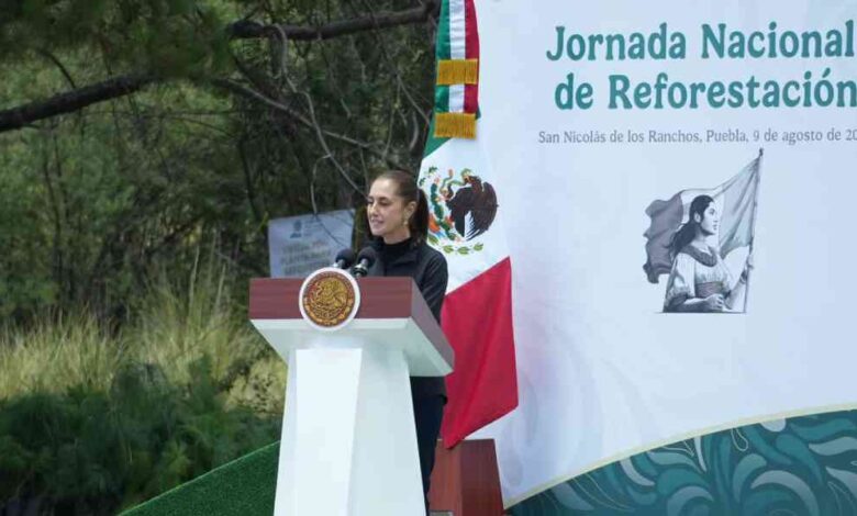 Jornada Nacional de Reforestación