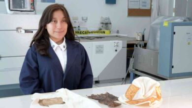 Ingeniería Textil BUAP