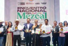 Mezcal Puebla