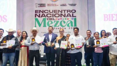 Mezcal Puebla