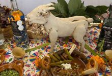 mole de caderas